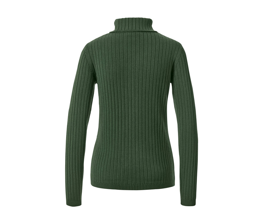 Pull à col roulé côtelé vert.