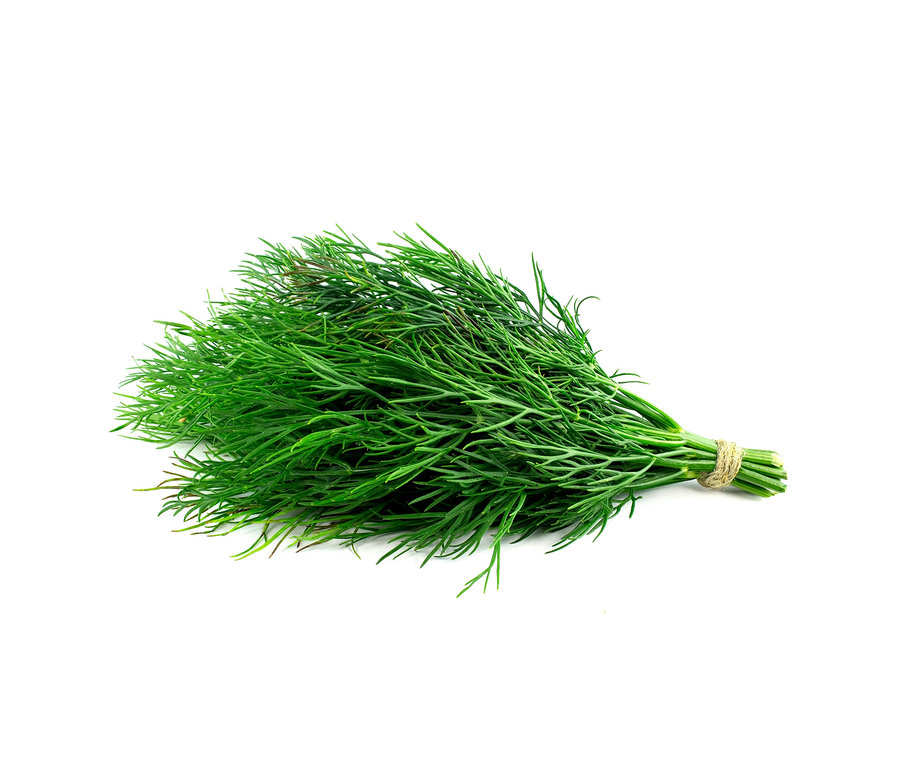 Un bouquet d'aneth vert, 8 herbes aromatiques classiques, lié par une ficelle.