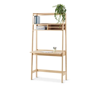 Étagère avec secrétaire, trois étagères, des livres, une plante et un bureau.
