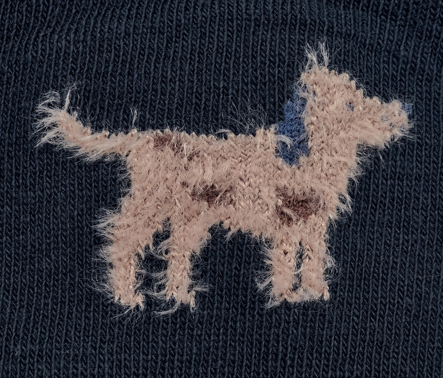 Gros plan sur une chaussette 3D pour enfant avec fil moelleux, représentant un chien.