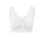 Brassière sans coutures, blanc - Blanc
