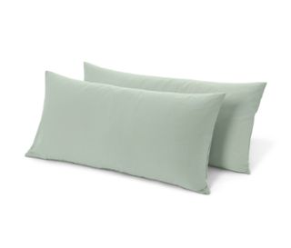 Couleur menthe