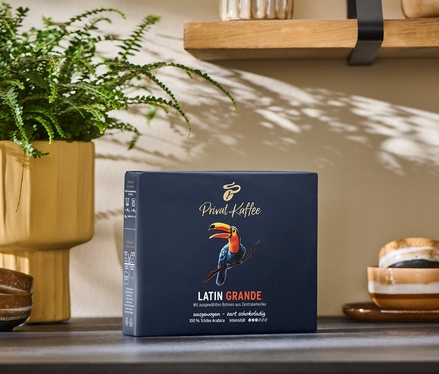 Un paquet de café moulu Privat Kaffee Latin Grande moulu – 500 g sur un comptoir. À l'arrière-plan, plante en pot et étagères.