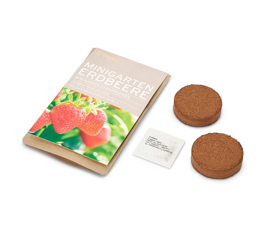 Mini-jardin fraises dans une pochette en papier, deux pastilles brunes et un sachet de graines.