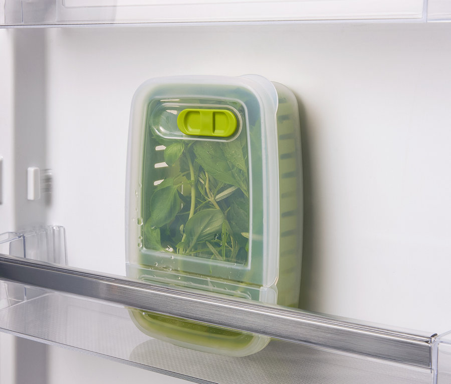 Herbes vertes dans un récipient transparent avec couvercle à l'intérieur du réfrigérateur.
