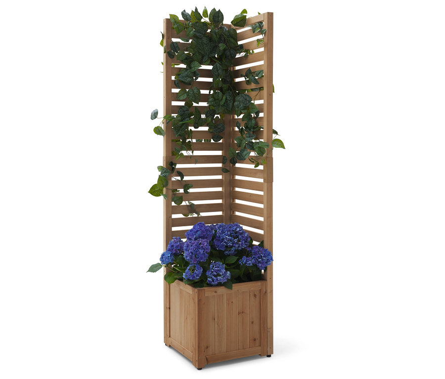 Jardinière en bois avec un hortensia bleu et une plante grimpante verte sur un treillis.