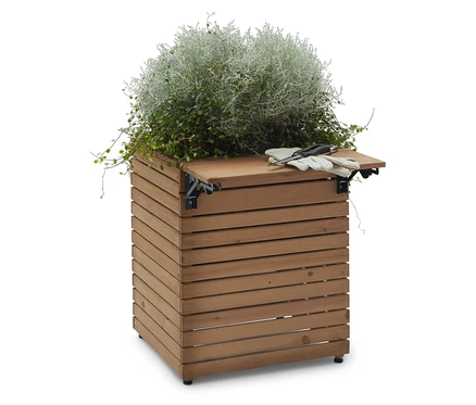 Un bac à plantes en bois avec une plante à feuilles argentées sur le dessus, ainsi que des outils de jardinage.