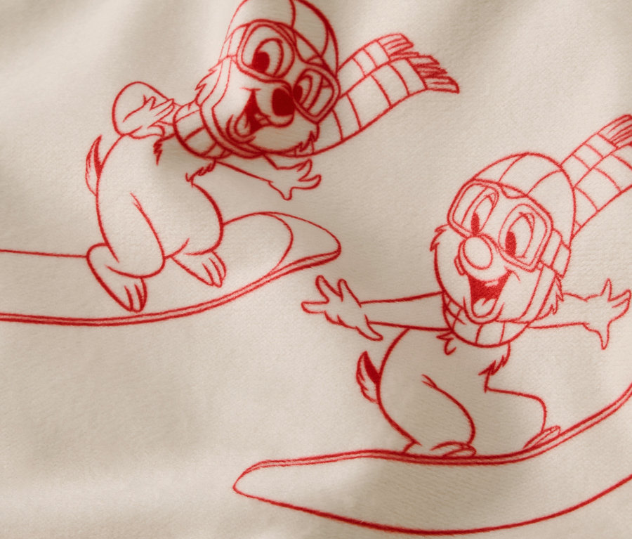 Illustration de deux écureuils en dessin animé sur des snowboards portant des lunettes de ski et des écharpes.