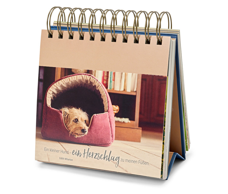 Calendrier de table avec la photo d'un chien dans un panier.