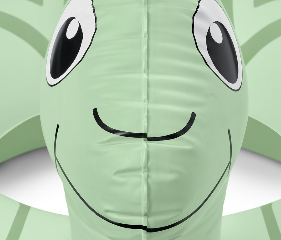 Gros plan sur une bouée « tortue » verte avec des yeux et un sourire.