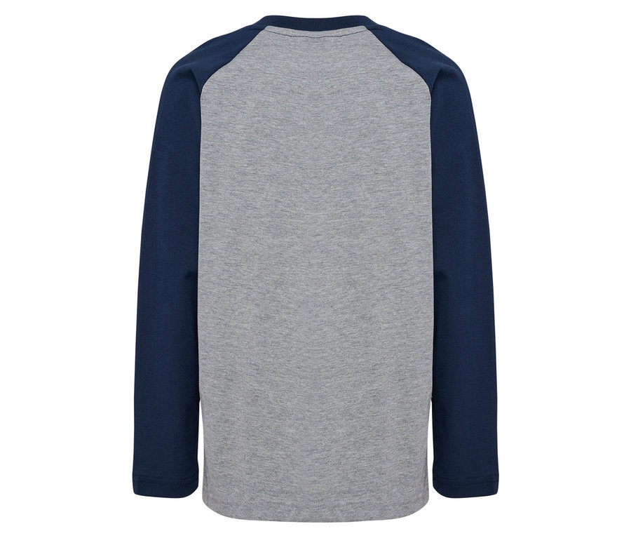 T-shirt ample à manches raglan HUMMEL HMLJR BEE gris avec manches raglan bleues.