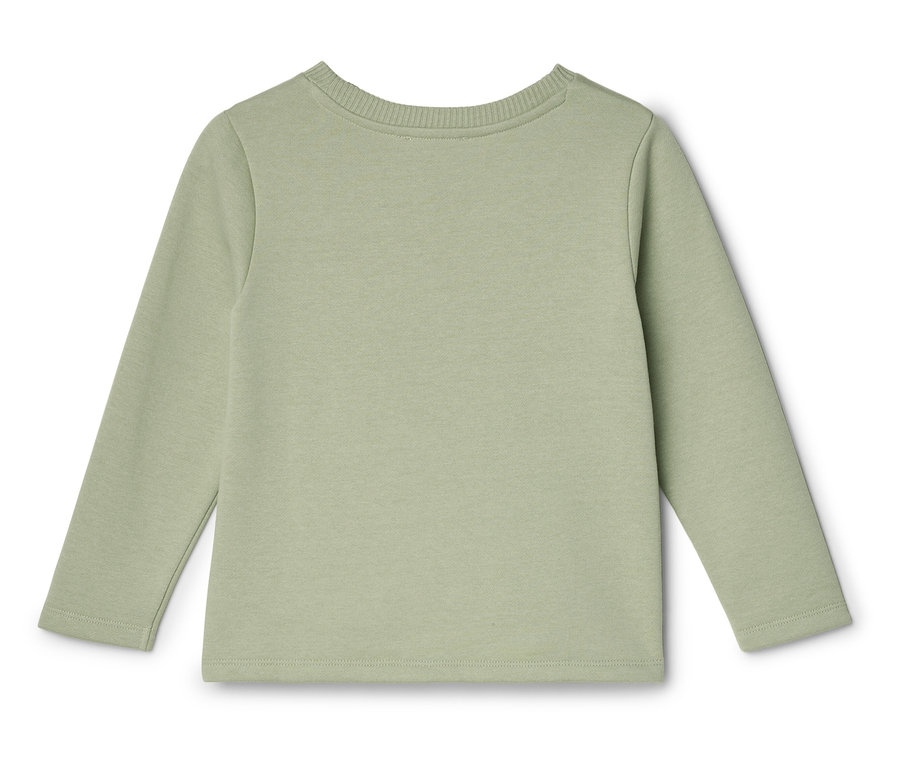 Vue arrière d'une chemise à manches longues vert clair uni, posée à plat sur une surface blanche.