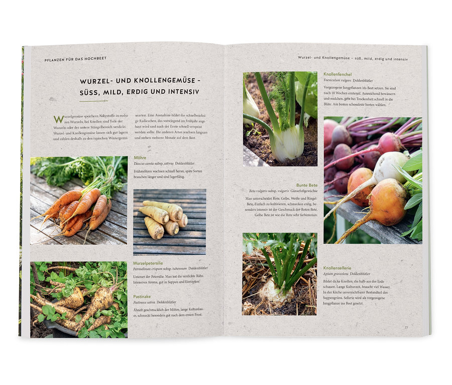 Livre ouvert avec une page sur les légumes racines et tubercules, comprenant des carottes, du panais, du persil tubéreux, du céleri-rave, des betteraves colorées et du fenouil.