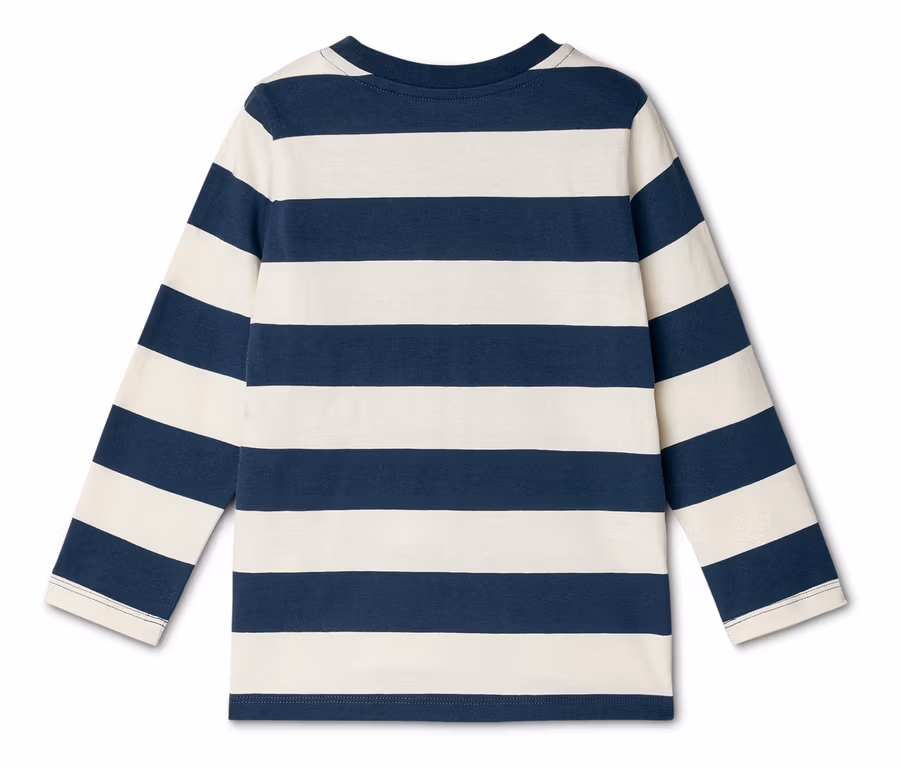 Vue arrière d'un t-shirt à manches longues rayé bleu marine et blanc.