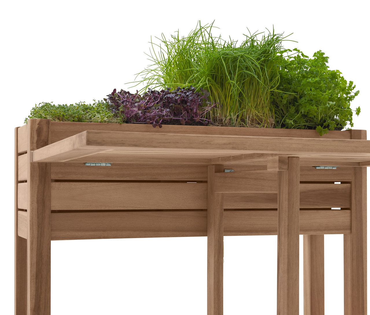 Gros plan sur une table de plantation en bois avec diverses herbes, dont de la ciboulette et du persil.