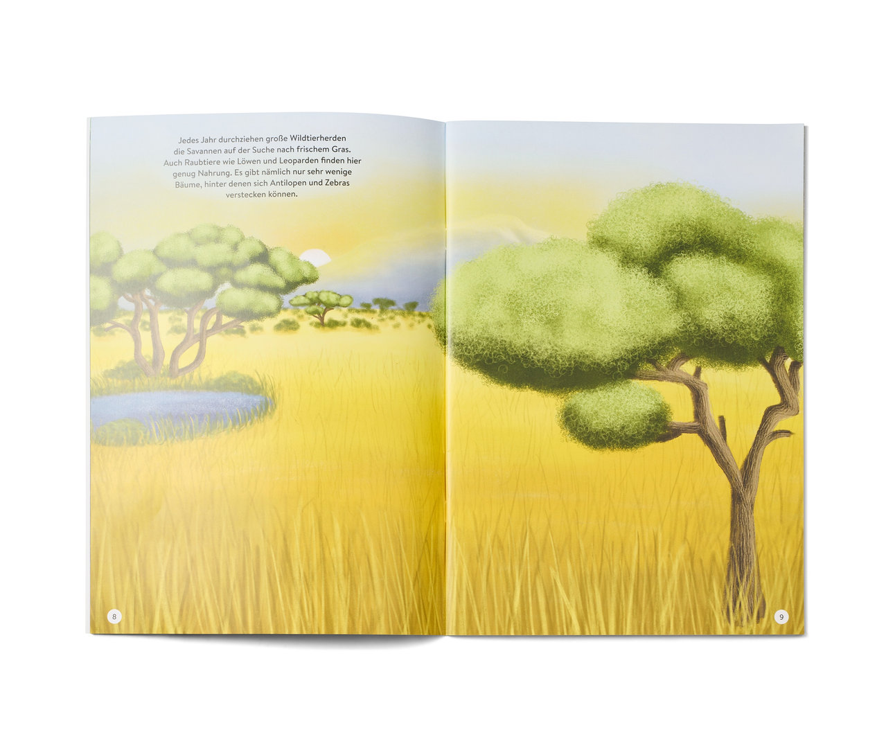 Un livre ouvert «	Faszinierende Stickerwelt – wilde Tiere	» montre une illustration d'une savane africaine avec des arbres et de l'herbe.