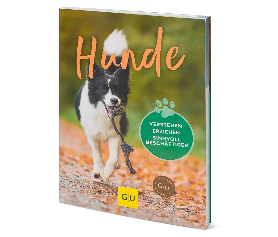 Une couverture de livre montre un border collie courant sur un chemin d'automne avec un jouet en corde dans la gueule.
