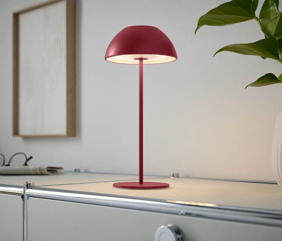 Une lampe rouge est posée sur une armoire à côté d'une plante d'intérieur.