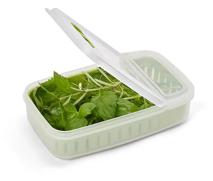 La boîte de conservation pour herbes aromatiques est remplie d'herbes fraîches et le couvercle est ouvert.