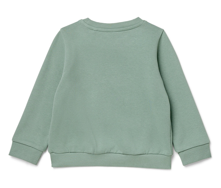 Vue arrière d'un sweat-shirt vert clair à manches longues.