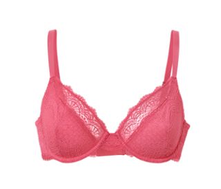 Rose vif