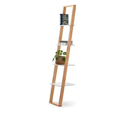 Étagère échelle étroite avec des livres et une plante en pot.