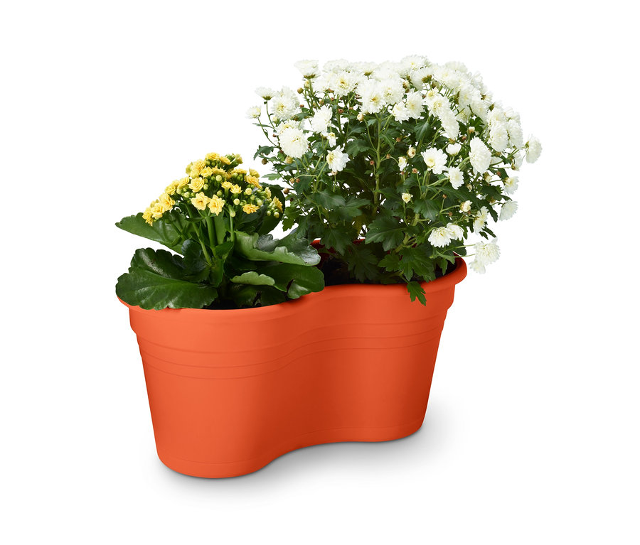 Fleurs jaune et blanches dans un double pot de fleurs orange à suspendre au balcon.