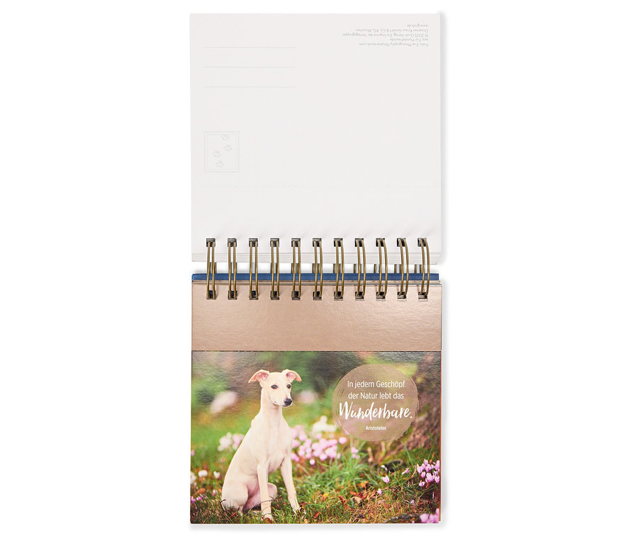 Calendrier de table avec une photo d'un chien assis dans l'herbe.