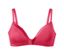 Rose vif