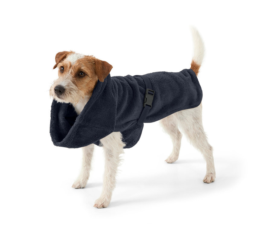 Un Jack Russell Terrier se tient sur un fond blanc et porte un peignoir bleu marine pour chien.