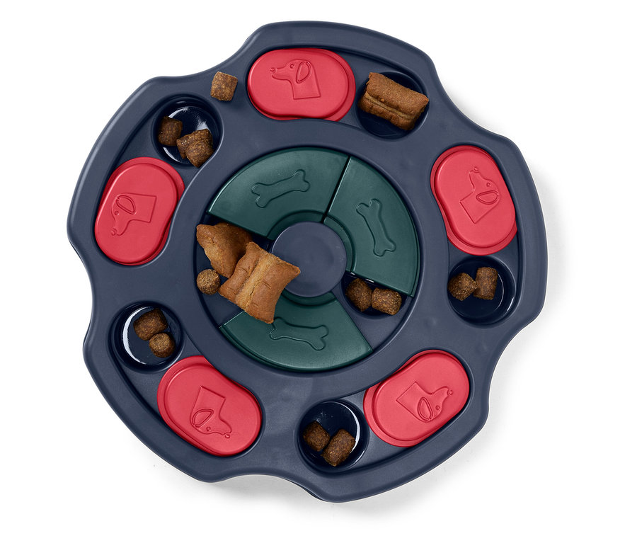 Jeu interactif pour chien avec des friandises en bleu, rouge et vert.