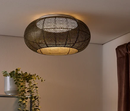 Gros plan d'un intérieur avec un plafonnier décoratif, des livres et une plante en pot.