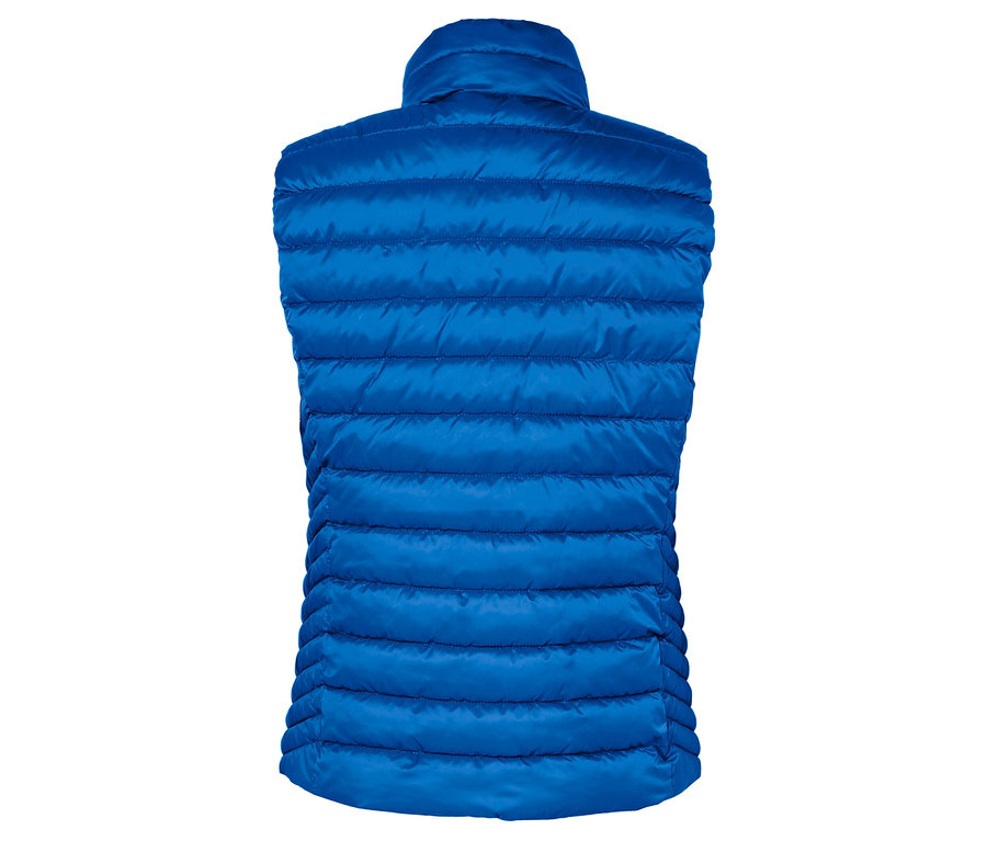 Vue arrière d'un gilet matelassé bleu.