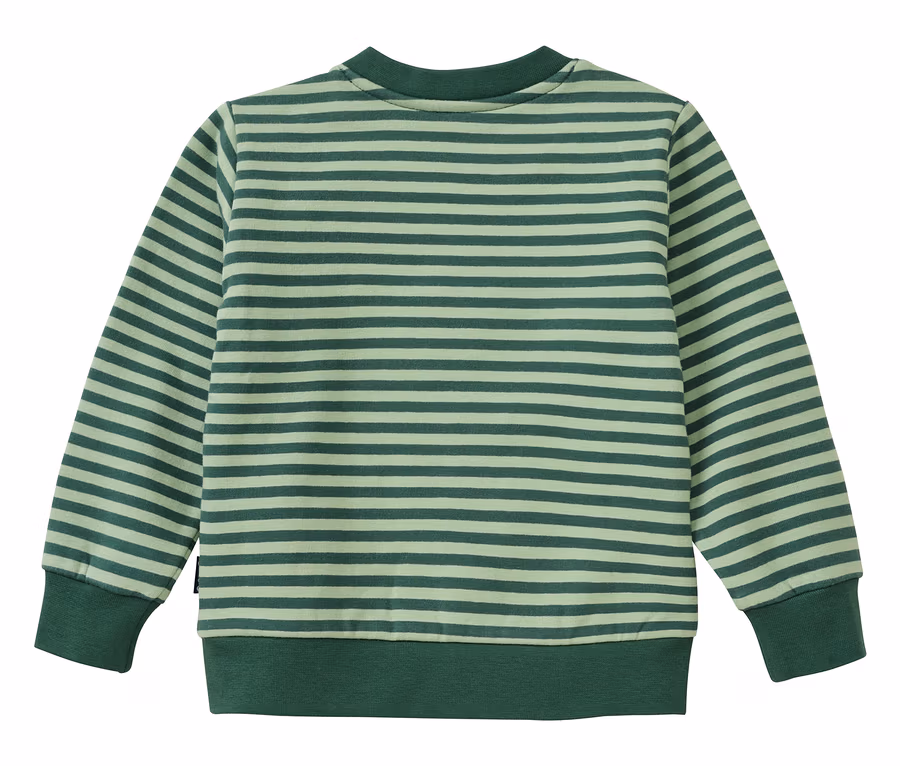 Vue de dos d'un sweat-shirt à manches longues avec des rayures horizontales vert clair et vert foncé. Il a un col, des poignets et un ourlet côtelés vert foncé uni.