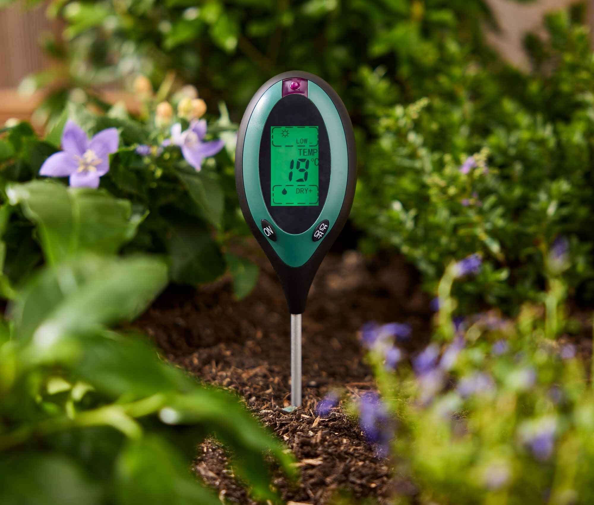 Un testeur de sol vert est enfoncé dans le sol entre des plantes.