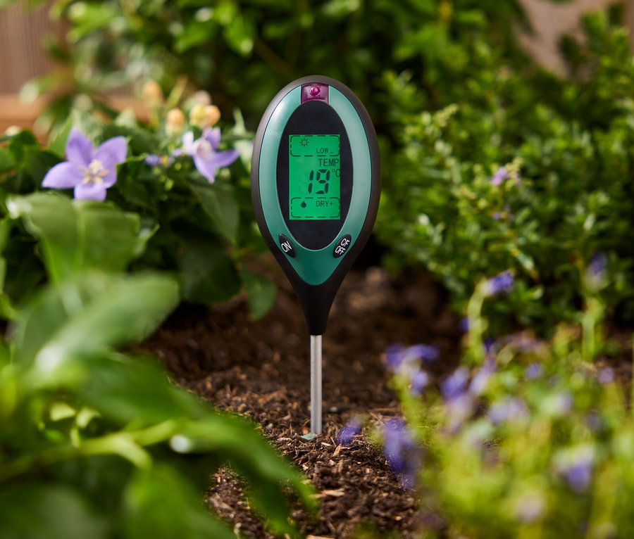 Un testeur de sol vert est enfoncé dans le sol entre des plantes.