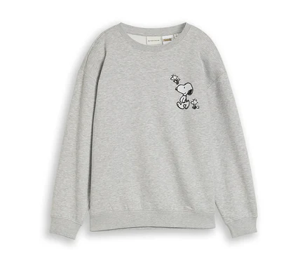 Sweat-shirt gris avec un dessin au trait noir de Snoopy assis, regardant Woodstock qui vole au-dessus de lui.