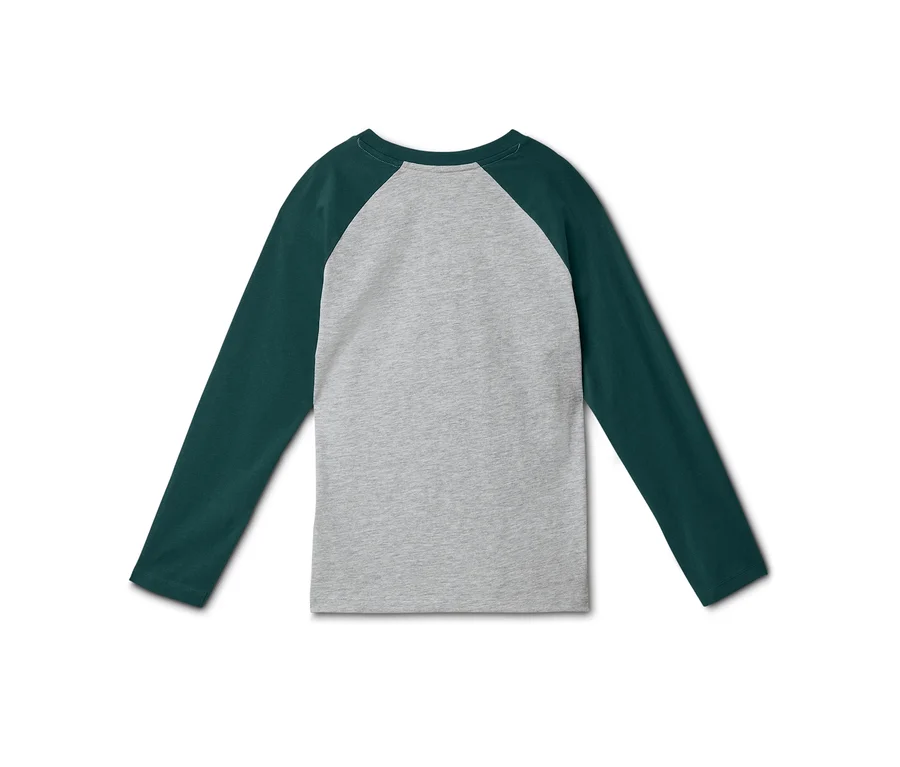 Vue de dos d'un t-shirt raglan à manches longues avec un corps gris et des manches vert foncé sur un fond blanc.