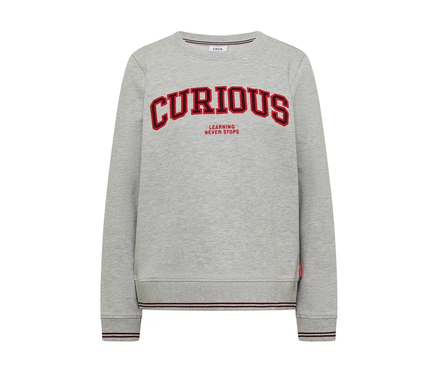 Sweatshirt CECIL gris avec l'inscription rouge "CURIOUS LEARNING NEVER STOPS" sur le devant.
