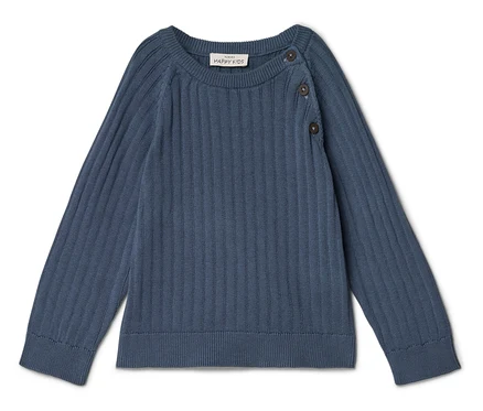 Pull bleu en tricot côtelé avec des boutons au col.
