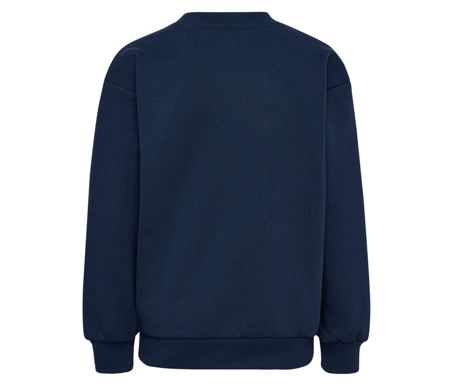 Vue arrière du sweater bleu hummel® HMLJR Loose Crew Neck Bee.