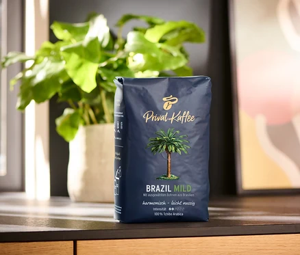 Un paquet de 500 g de café en grains Privat Kaffee Brazil Mild posé sur une surface en bois. À l'arrière-plan, une plante en pot et une peinture abstraite.