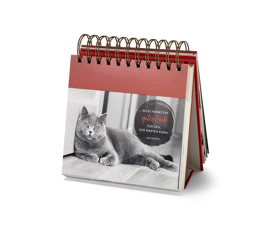 Présentoir « Weisheiten für Katzenfreunde » (Mots de sagesse pour les amis des chats, en allemand) avec la photo d'un chat gris couché.