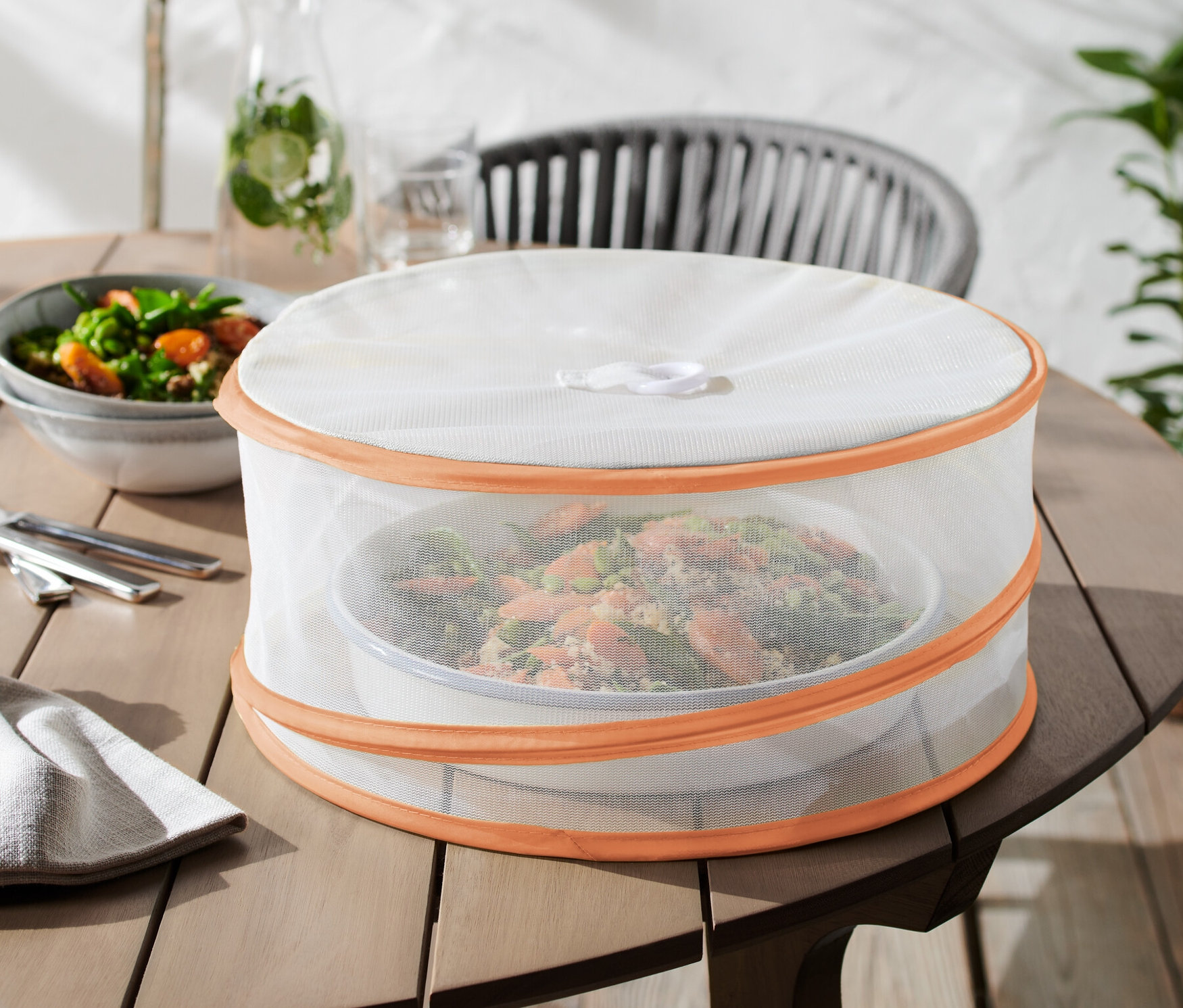 Des aliments sont posés sur une table en bois sous une cloche de protection pliable.