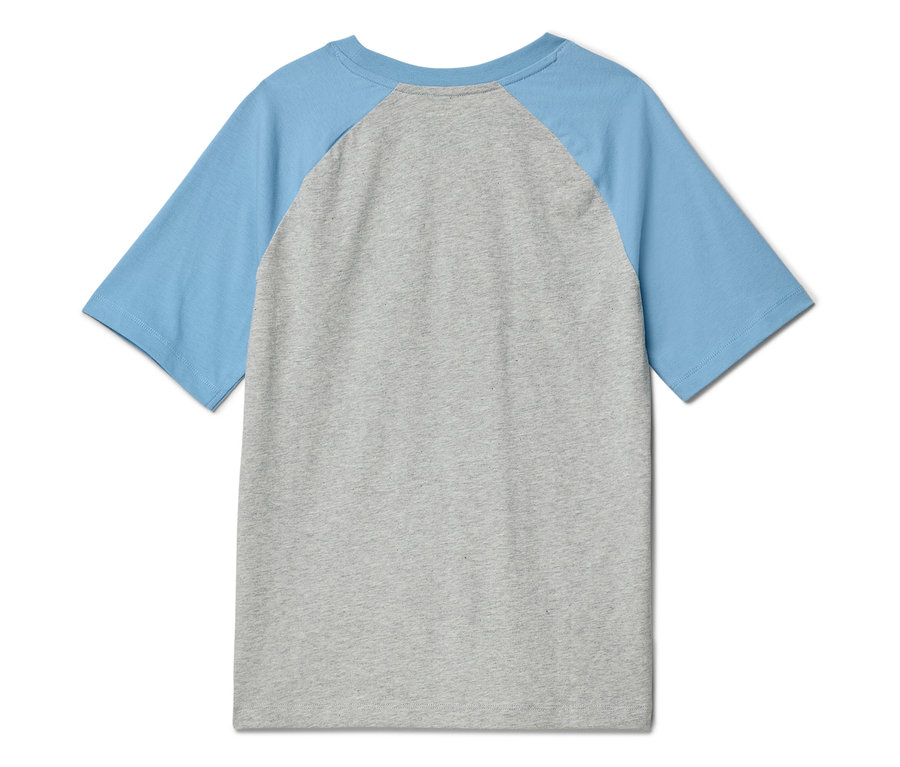 Vue arrière d'un t-shirt chiné gris avec des manches raglan bleu clair.