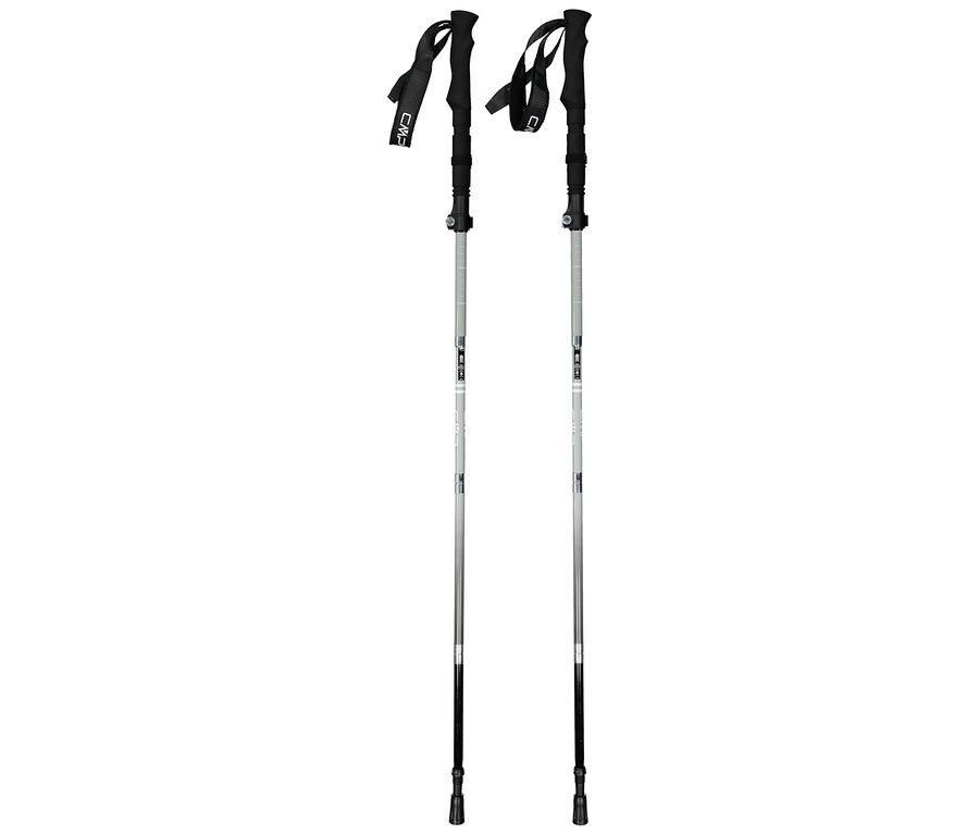 Deux bâtons de randonnée argentés avec poignées noires et dragonnes se tiennent sur un fond blanc.