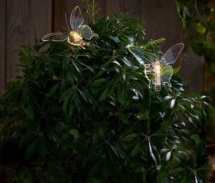 Deux papillons lumineux sont posés sur un buisson vert.
