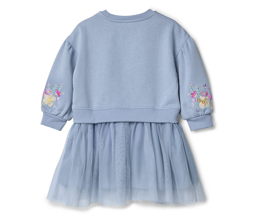 Robe bleu clair avec jupe en tulle et broderie florale sur la manche.