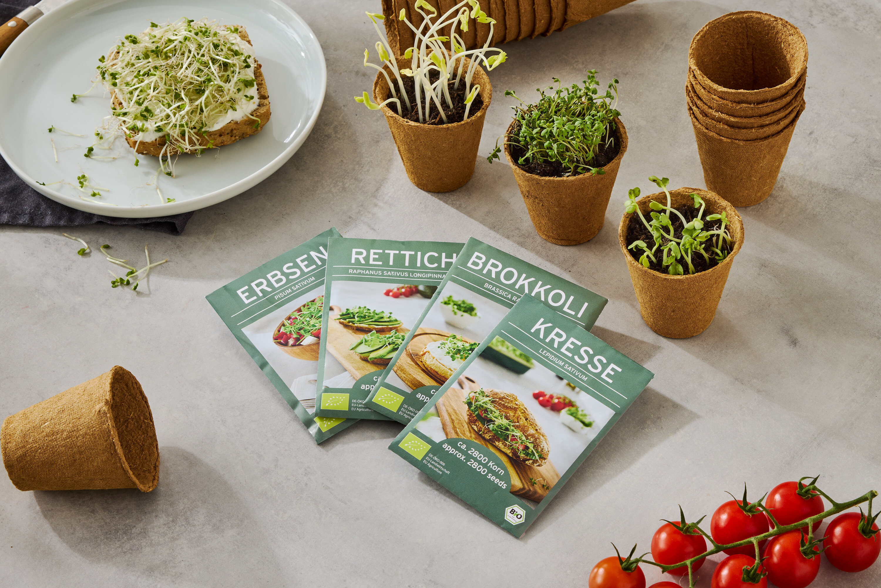 Une assiette avec un pain garni de pousses, ainsi que quatre boîtes de graines (pois, radis, brocoli, cresson), de petits pots avec des pousses en croissance et une grappe de tomates.