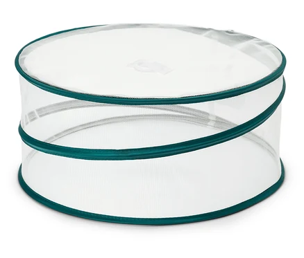 Couvercle alimentaire rond transparent avec bordure verte.